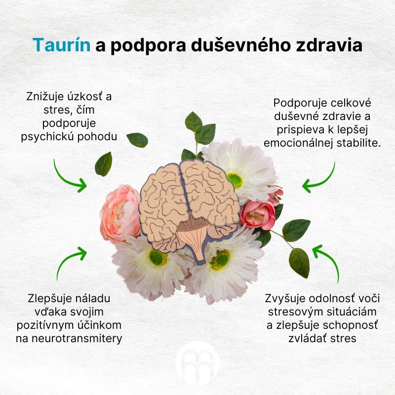 (Slovenčina) Taurin a podpora duševního zdraví